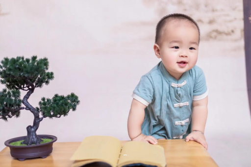 高唐可爱的企鹅宝宝